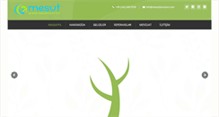 Desktop Screenshot of mesutdonusum.com
